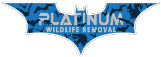 Wildlife Removal Allen County