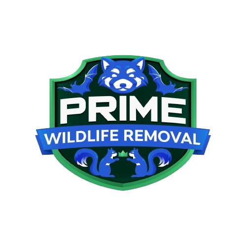 Wildlife Removal Allen County